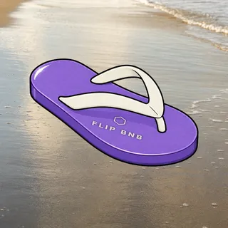FlipFlops #82
