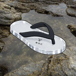 FlipFlops #831