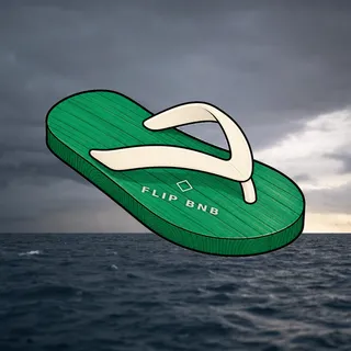 FlipFlops #833