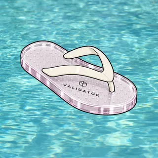 FlipFlops #843