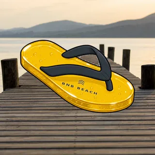 FlipFlops #851