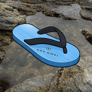 FlipFlops #856