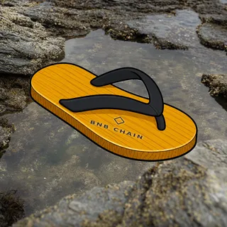 FlipFlops #881