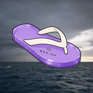 FlipFlops #887