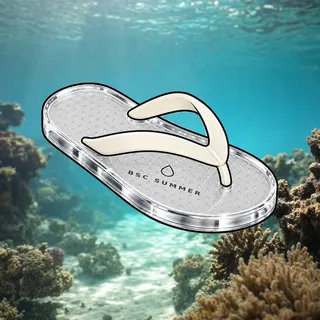 FlipFlops #9