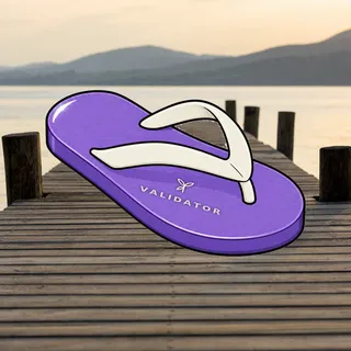 FlipFlops #911
