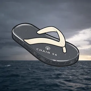 FlipFlops #912