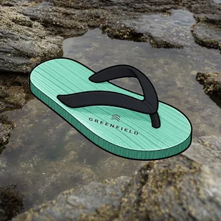 FlipFlops #915