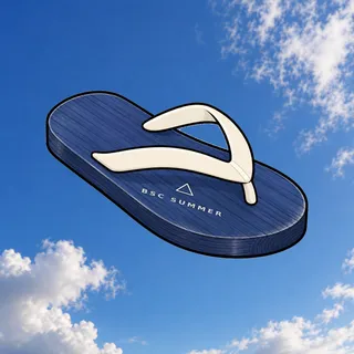 FlipFlops #922