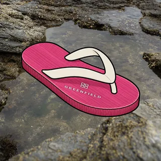 FlipFlops #925