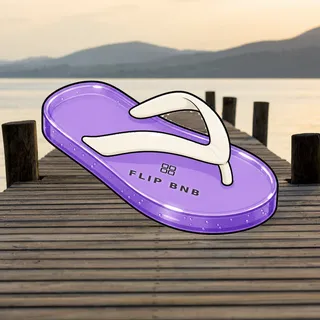 FlipFlops #93