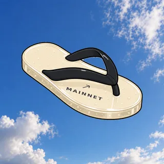 FlipFlops #94