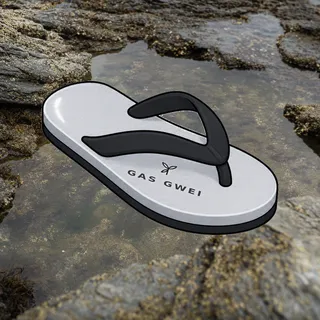 FlipFlops #95