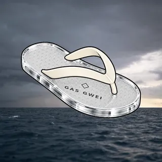 FlipFlops #97