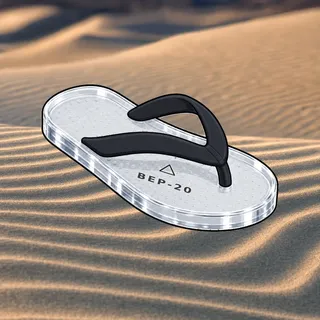 FlipFlops #970