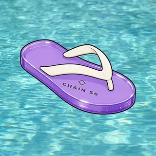 FlipFlops #977