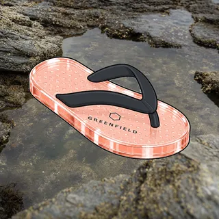FlipFlops #978
